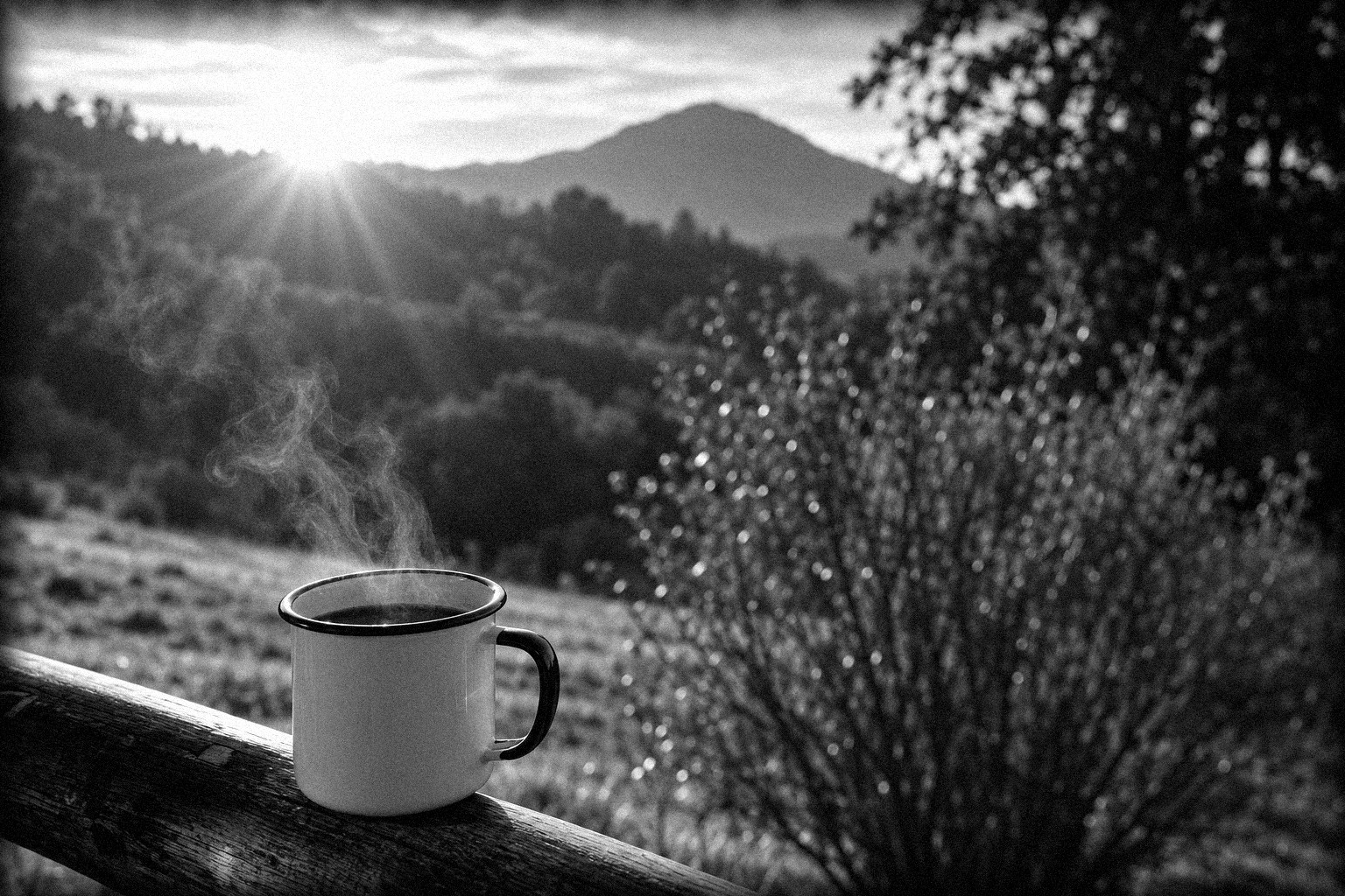 Taza de café humeante al amanecer frente al campo